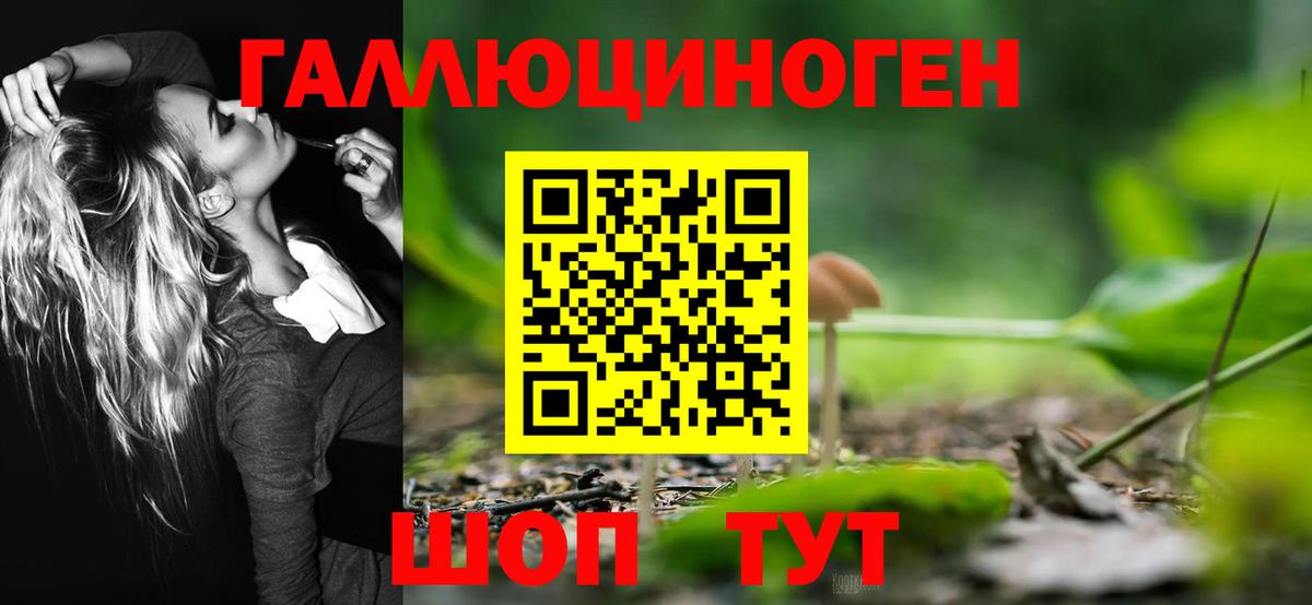 Барнаул  Псилоцибиновые грибы MAGIC MUSHROOMS  Вход с VPN  Галлюциногенные грибы ЛСД 